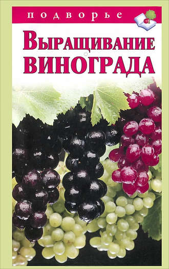 Виктор Горбунов. Выращивание винограда