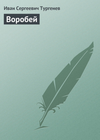 Воробей. 