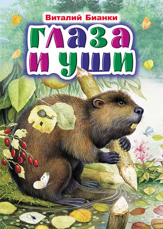 Глаза и уши. 