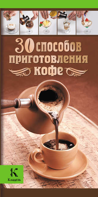 Ирина Васильчикова. 30 способов приготовления кофе