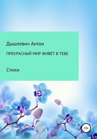Прекрасный мир живёт в тебе. Антон Владимирович Дышлевич