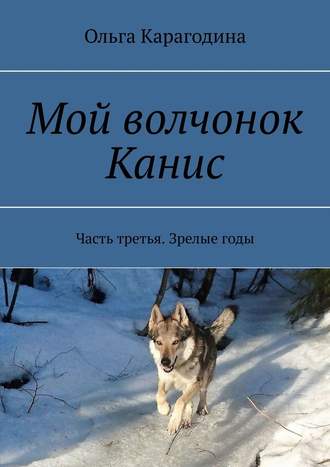 Ольга Карагодина. Мой волчонок Канис. Часть третья. Зрелые годы