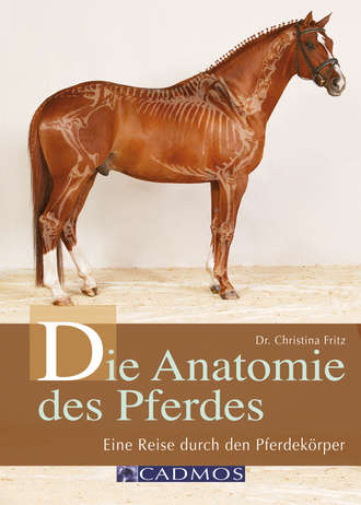 Dr. Christina  Fritz. Die Anatomie des Pferdes