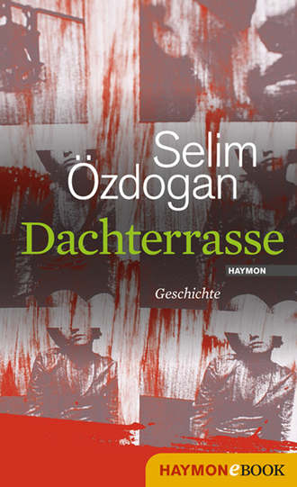 Selim  Ozdogan. Dachterrasse