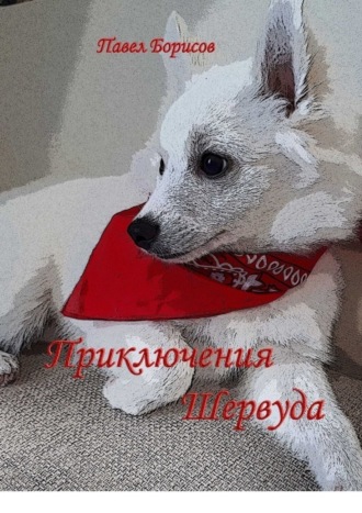Приключения Шервуда. Павел Борисов
