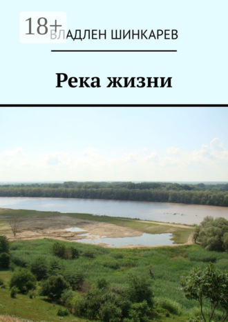 Владлен Шинкарев. Река жизни