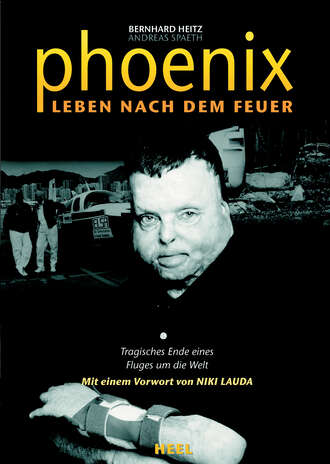 Andreas  Spaeth. Phoenix - Leben nach dem Feuer
