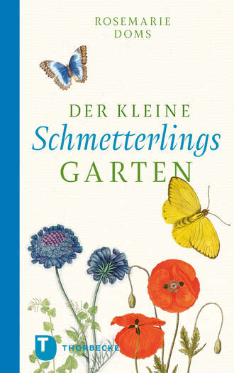 Rosemarie Doms. Der kleine Schmetterlingsgarten
