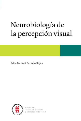 Edna Jeannet Galindo Rojas. Neurobiolog?a de la percepci?n visual