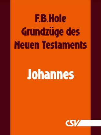 F. B.  Hole. Grundz?ge des Neuen Testaments - Johannes