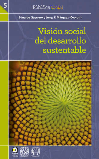Группа авторов. Visi?n social del desarrollo sustentable