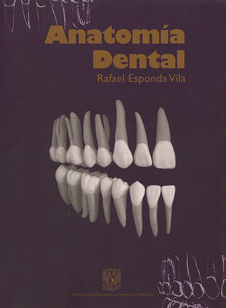 Rafael Esponda Vila. Anatom?a dental