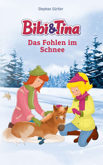 Stephan G?rtler. Bibi & Tina - Das Fohlen im Schnee