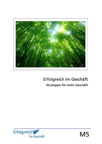 Gerhard  Gieschen. Modul 5: Strategien f?r mehr Gesch?ft