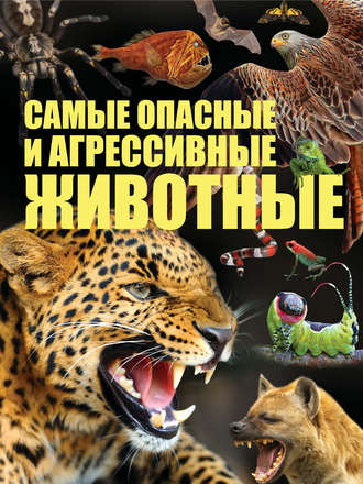 Сергей Цеханский. Cамые опасные и агрессивные животные