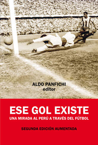 Aldo Panfichi. Ese gol existe