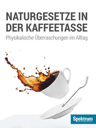 H. Joachim Schlichting. Naturgesetze in der Kaffeetasse