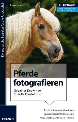 Regine  Heuser. Foto Praxis Pferde fotografieren