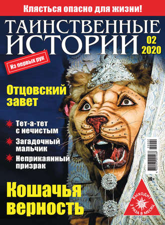 Таинственные истории №02/2020. Группа авторов
