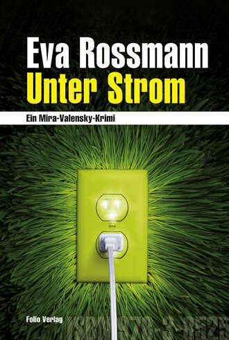 Eva  Rossmann. Unter Strom