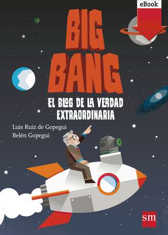 Bel?n Gopegui. Big Bang: El blog de la verdad extraordinaria