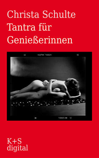 Christa Schulte. Tantra f?r Genie?erinnen