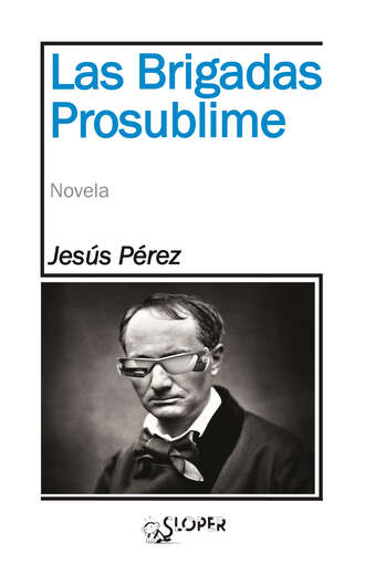 Jes?s P?rez Caballero. Las Brigadas Prosublime