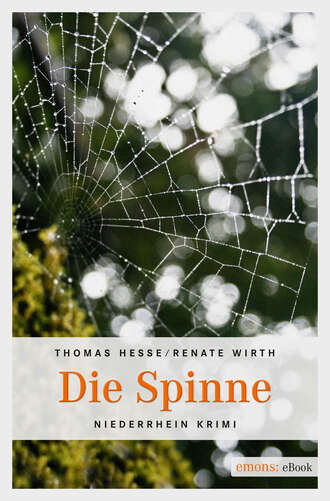 Thomas Hesse. Die Spinne