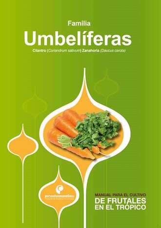 Hern?n Pinz?n Ram?rez. Manual para el cultivo de hortalizas. Familia Umbel?feras