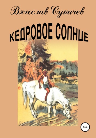 Кедровое солнце. 