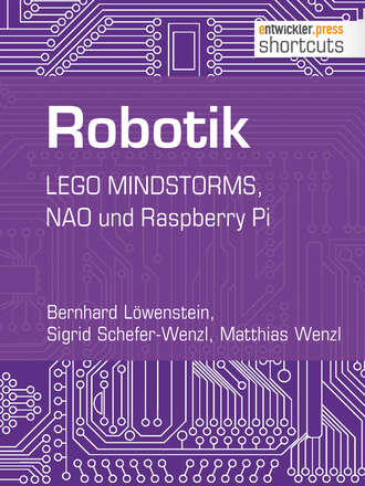 Bernhard  Lowenstein. Robotik