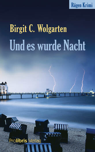 Birgit C.  Wolgarten. Und es wurde Nacht