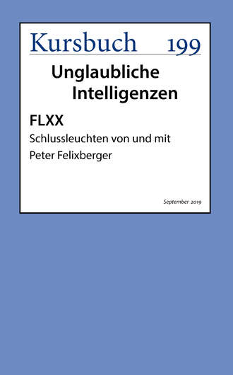 Peter  Felixberger. FLXX | Schlussleuchten von und mit Peter Felixberger