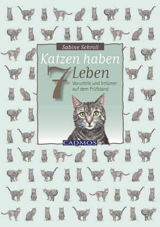 Sabine Schroll. Katzen haben sieben Leben