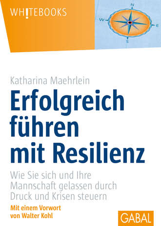 Katharina Maehrlein. Erfolgreich f?hren mit Resilienz