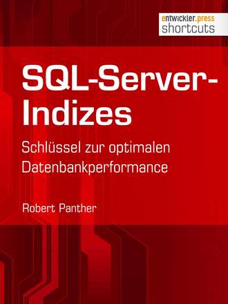 Robert Panther. SQL-Server-Indizes