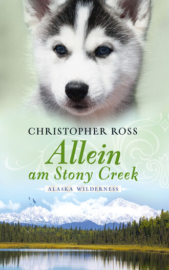 Christopher Ross. Alaska Wilderness - Allein am Stony Creek (Bd. 3)