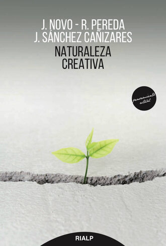 Javier Novo. Naturaleza creativa