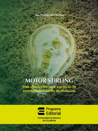Juan Ricardo Vidal Medina. Motor stirling: uma alternativa para a gera??o de eletricidade a partir da biomassa