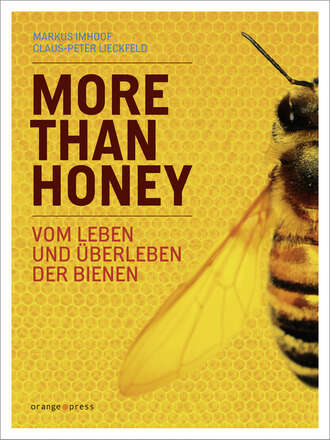 Markus Imhoof. More Than Honey
