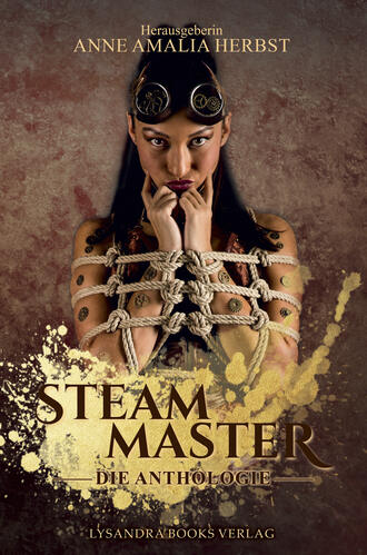 Группа авторов. Steam Master