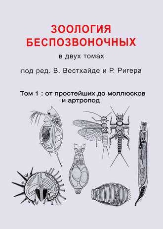 Коллектив авторов. Зоология беспозвоночных. Том 1. От простейших до моллюсков и артропод