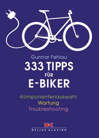 Gunnar Fehlau. 333 Tipps f?r E-Biker