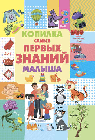 Людмила Доманская. Копилка самых первых знаний малыша