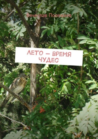 Лето – время чудес. Вячеслав Полежаев