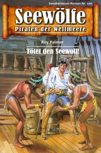 Roy Palmer. Seew?lfe - Piraten der Weltmeere 100