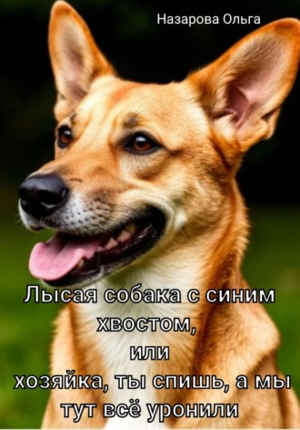 Лысая собака с синим хвостом, или хозяйка, ты спишь, а мы тут всё уронили!. 