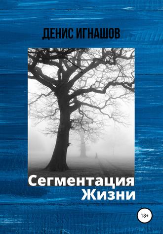 Сегментация Жизни. 