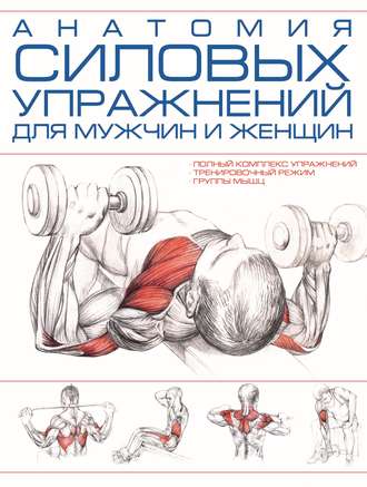 Коллектив авторов. Анатомия силовых упражнений для мужчин и женщин
