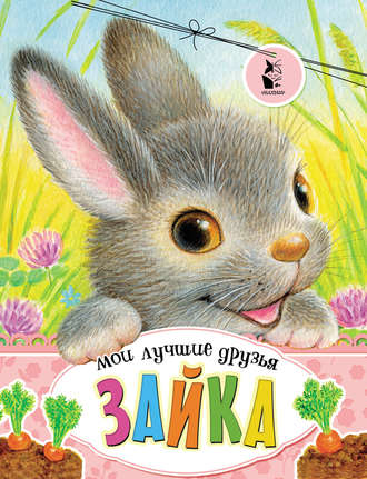 Группа авторов. Зайка